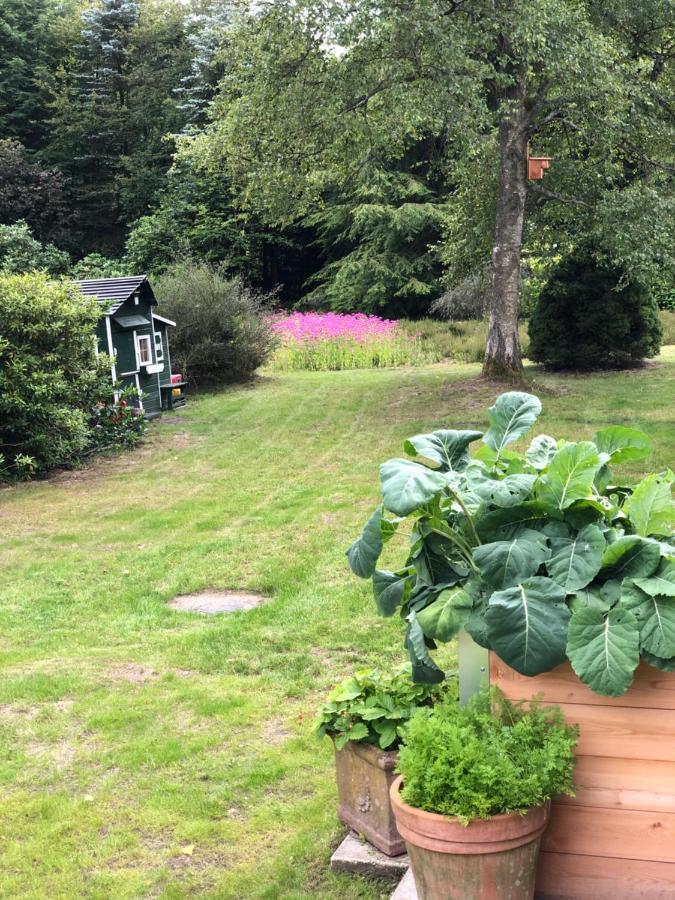 Landhaus Mitten In Der Lueneburger Heide Undeloh Dış mekan fotoğraf