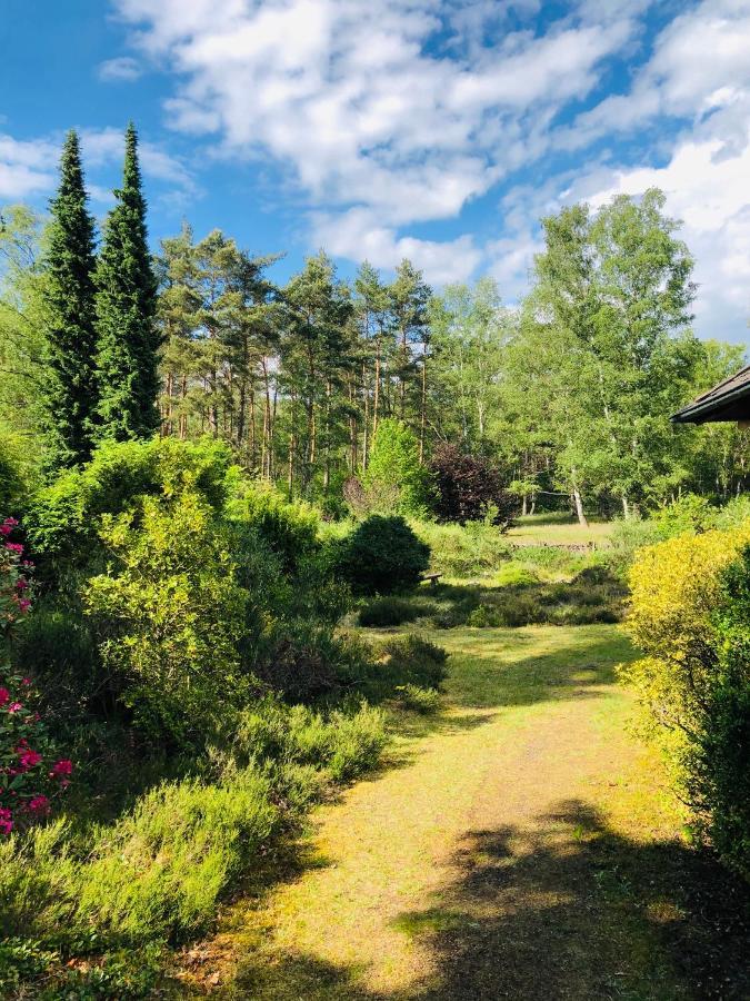 Landhaus Mitten In Der Lueneburger Heide Undeloh Dış mekan fotoğraf