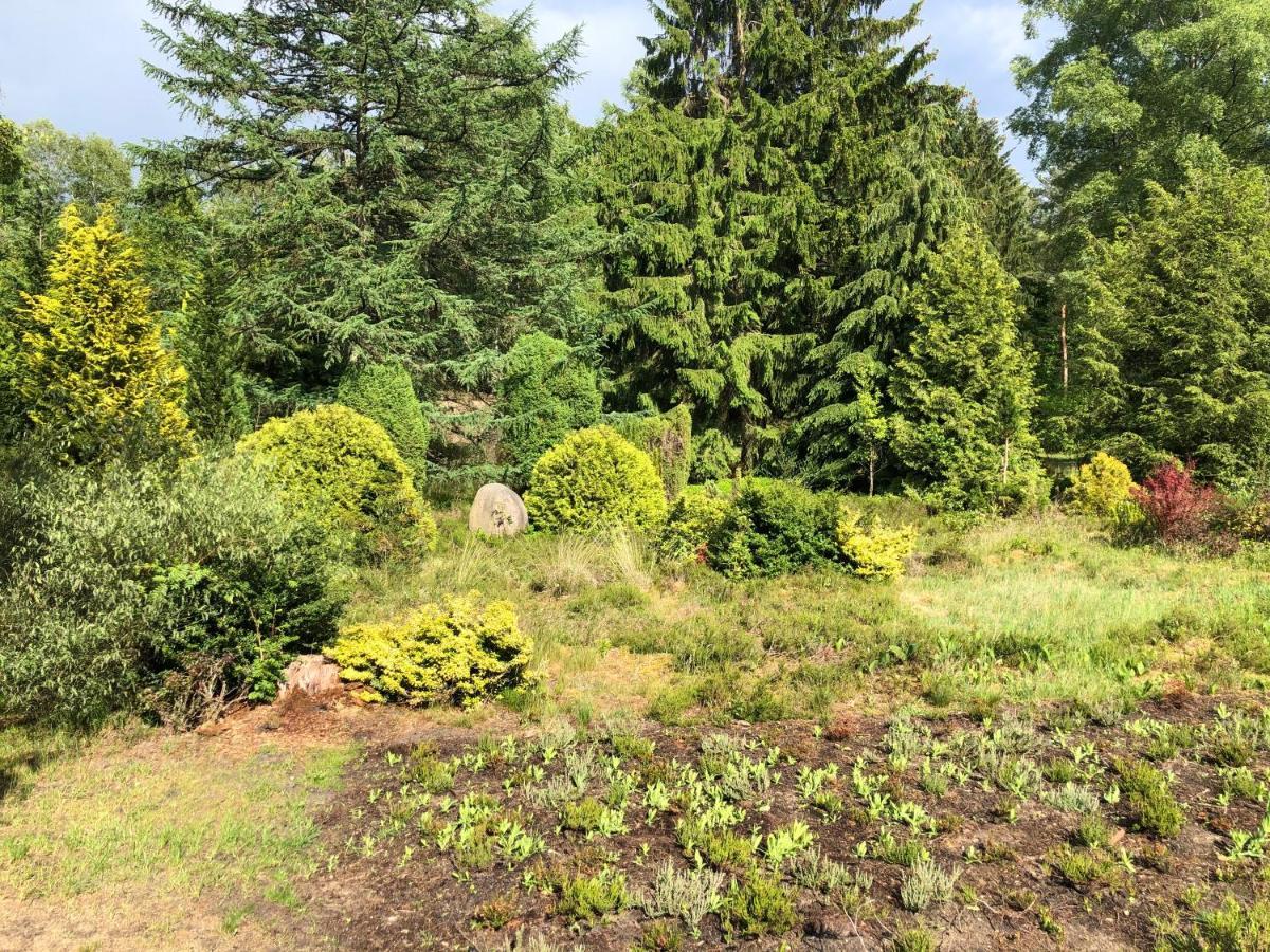 Landhaus Mitten In Der Lueneburger Heide Undeloh Dış mekan fotoğraf