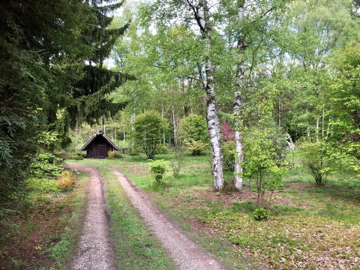 Landhaus Mitten In Der Lueneburger Heide Undeloh Dış mekan fotoğraf