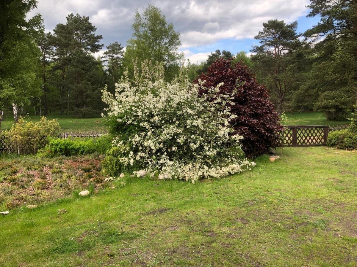 Landhaus Mitten In Der Lueneburger Heide Undeloh Dış mekan fotoğraf