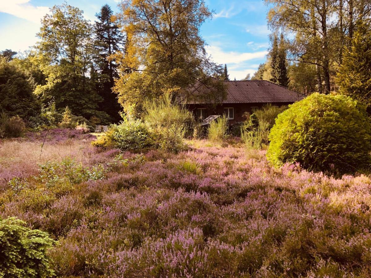 Landhaus Mitten In Der Lueneburger Heide Undeloh Dış mekan fotoğraf