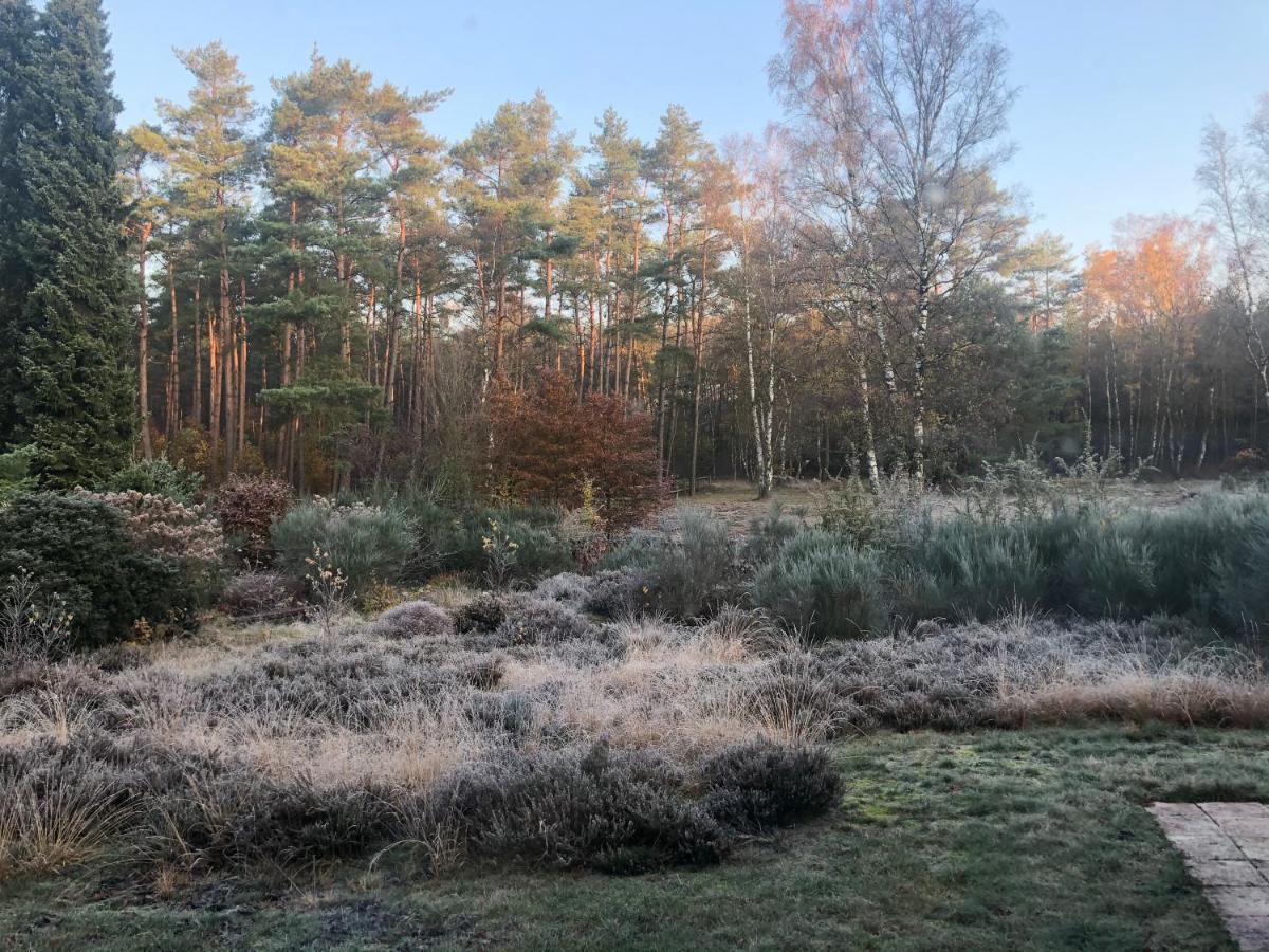 Landhaus Mitten In Der Lueneburger Heide Undeloh Dış mekan fotoğraf