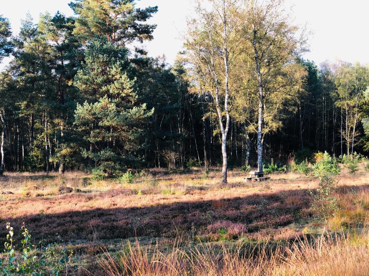 Landhaus Mitten In Der Lueneburger Heide Undeloh Dış mekan fotoğraf